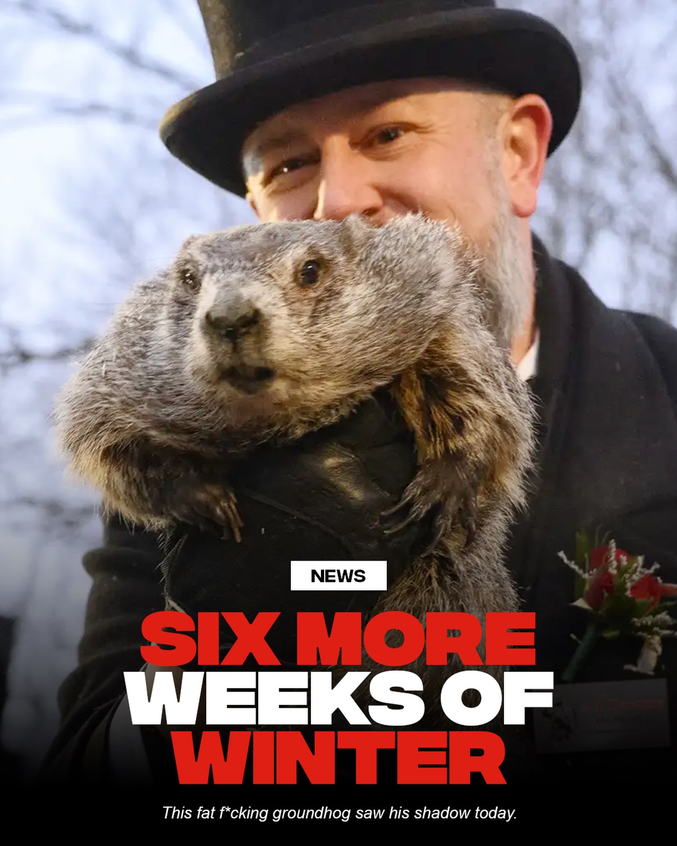 🙏 Martha can you activate your weather machine one more time to save us please