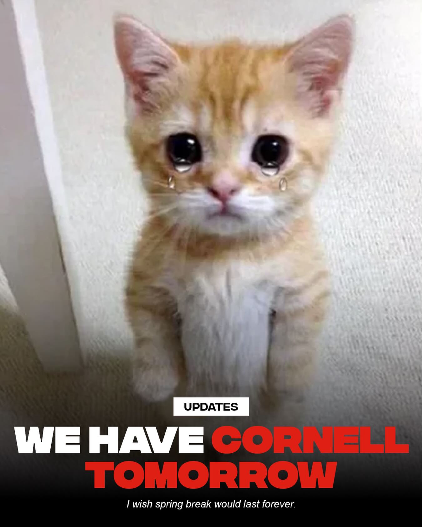 i am not mentally prepared to go back to cornell

also why is it literally still